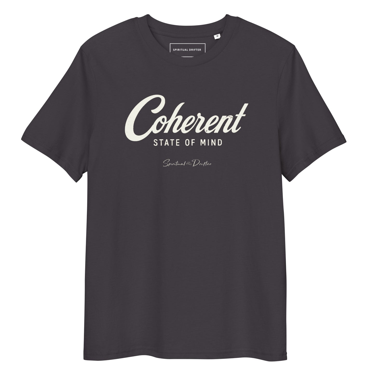 Spiritual Drifter “Coherent State of Mind” organic cotton t-shirt in Steele gray – rich minimalist spiritual clothing for mindfulness and conscious living